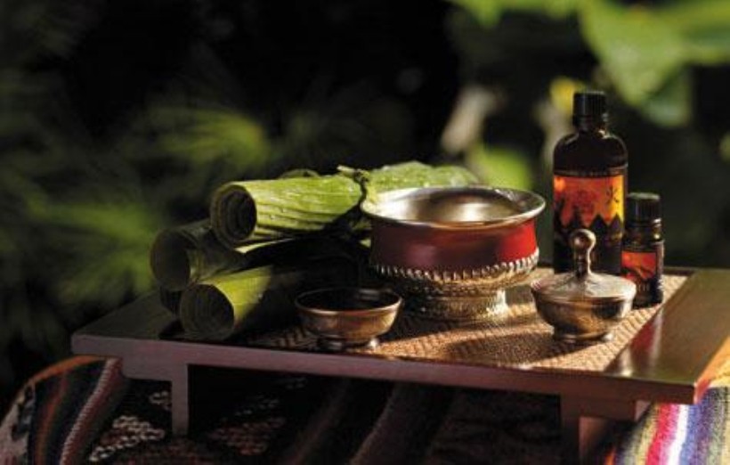 DNA精准内调身体环境